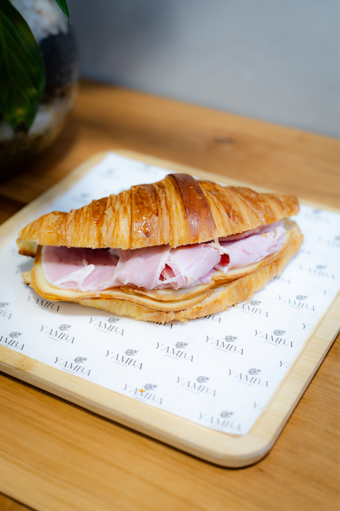 Jamon y Queso ahumado